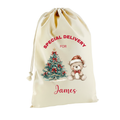 Christmas-themed gift bag with a teddy bear and tree design, labeled 'Special Delivery for James'.